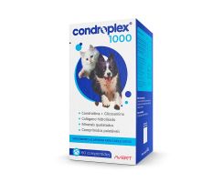 Suplemento Avert Condroplex 1000 com 60 Comprimidos 