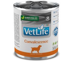 Ração Úmida Vet Life Convalescence Cães 300g
