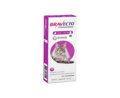 Antipulgas Bravecto Transdermal 1,79 ml Gatos 6,25 à 12,5 Kg